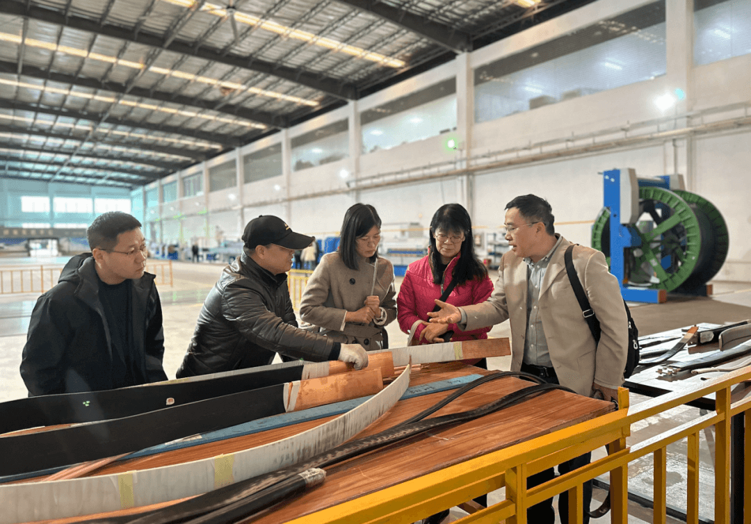 China Institute of Standardization Expert Review Team Visits Yanghuasti for Inspection and Exchange