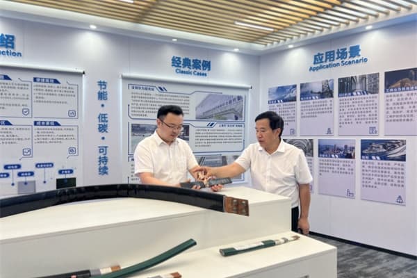 Guangdong Wire and Cable Industry Association Secretary-General Visits Yanghuasti